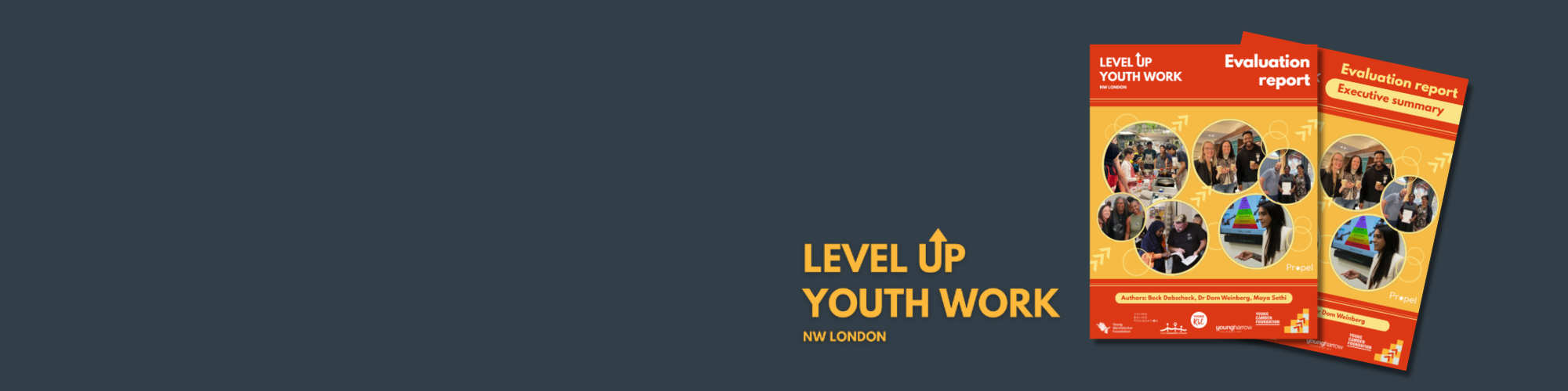 Level Up evaluation